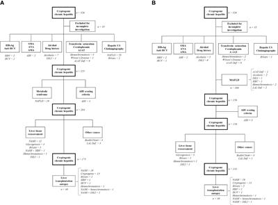 Cryptogenic chronic hepatitis: looking for an ideal diagnostic algorithm